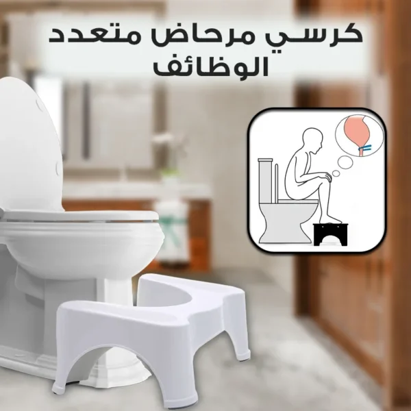 Multi-functional Toilet Chair